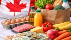$628 Grocery Rebate Payment Date and Eligibility Criteria in February 2026 With Qualification Update