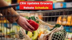 Canada Revenue Agency Updates $236 Grocery Rebate Warning Families of Schedule Changes