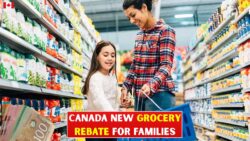 New Federal $236 Grocery Rebate to Support Canadian Families — Updated CRA Payment Structure and Timing Timetable