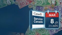 Goodbye to Missed Benefits: Canadians Urged to Check Service Canada Updates Before 8 March 2026