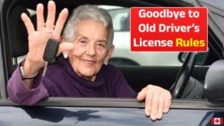Goodbye Old Driver’s License in Canada Mandatory Updates Required Before $500 Penalties Begin