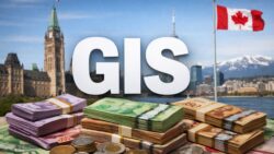 Seniors to Receive Up to $1,097 in GIS Payments — February 2026 Schedule and What It Means Now