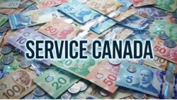 Goodbye Cash Queues: Service Canada Expands Fast Digital Payments From 7th March 2026
