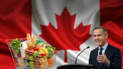 Mark Carney Government Passes Groceries And Essentials Benefit In March 2026 For Eligible Canadians