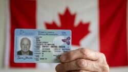 Goodbye Old Licence Rules: Drivers Aged 70+ Face Tougher Renewals From 9th March 2026